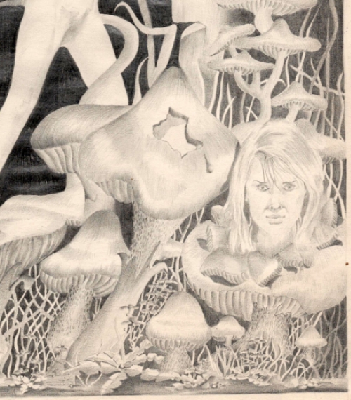 De  Belgische kunstenaar Alex De Carne