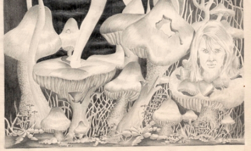 Kunstwerk van Alex De Carne kopen