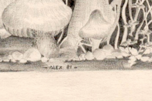 De naakte vrouw van de Gentse kunstenaar Alex De Carne