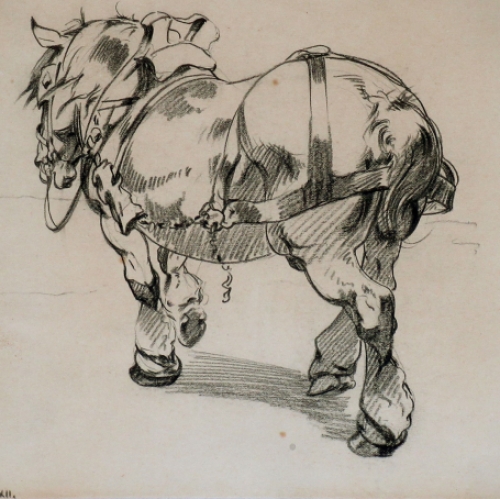 Brabants trekpaard getekend door A. Ost
