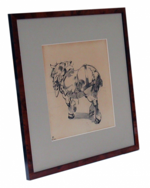 Brabants trekpaard 1912