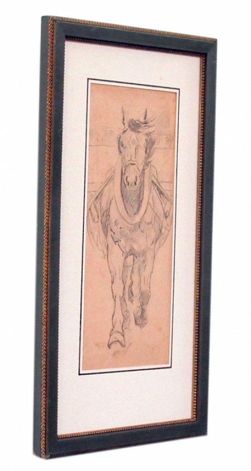 Tekening Brabants trekpaard