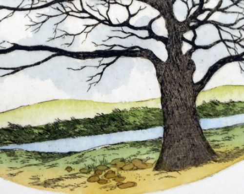 De Winter Waaiboom 66/360