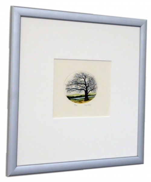 De Winter Waaiboom 66/360