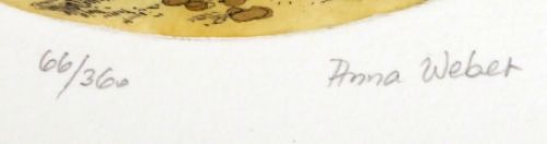 De Winter Waaiboom 66/360