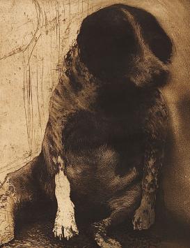 Onze hond 8/40