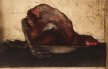 Vanitas, de dode haan