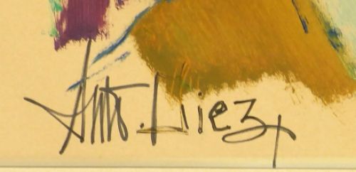 De Belgische kunstschilder Anto Diez