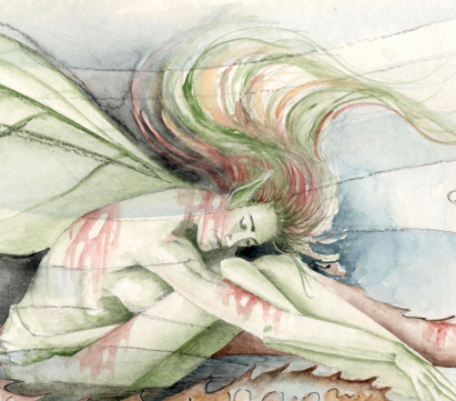 De  Belgische kunstenaar Alex De Carne