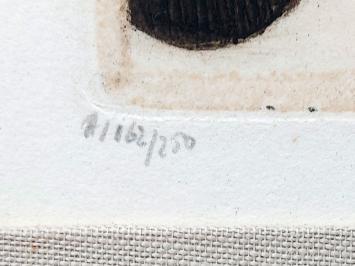 Armand Apol  en Valerius De Saedeleer