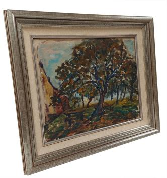De grote boom voor het huis