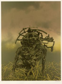 Offset print van Wilfried Pas kopen