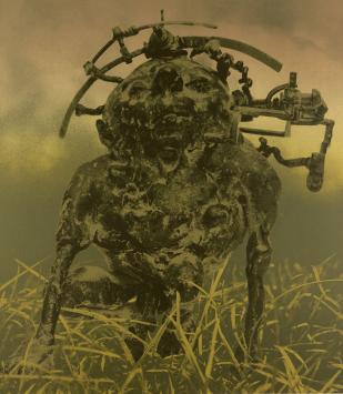 Kunstwerk van Wilfried Pas