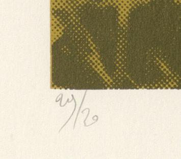 Belgische graficus Wilfried Pas