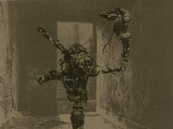 Kunstwerk van Wilfried Pas