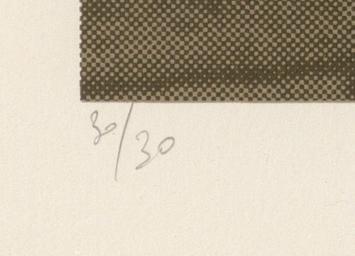 Belgische graficus Wilfried Pas