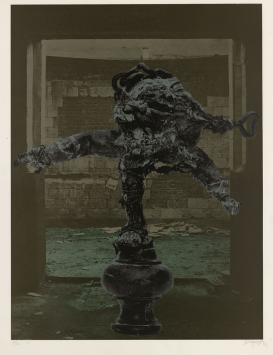 Offset print van Wilfried Pas kopen