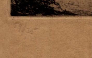 Vroege ets van D. Baksteen