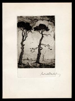 Gesigneerde ets van Dirk Baksteen kopen