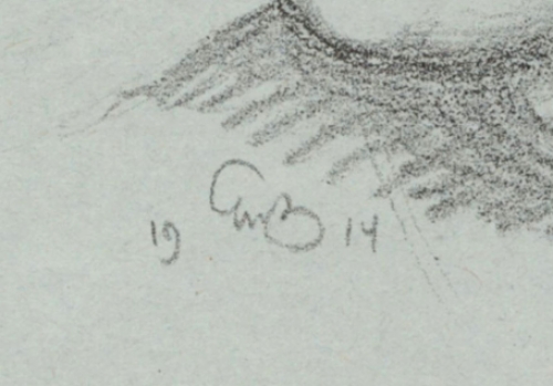 Litho kopen van Georges-Marie Baltus