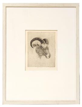 Kleine ets van Jeanine Behaeghel kopen