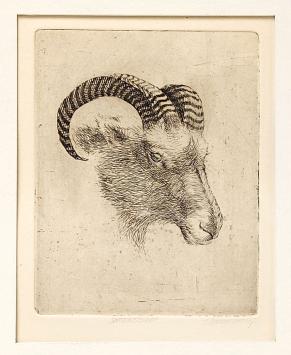 Kunstwerk van de Brugse Jeanine Behaeghel kopen