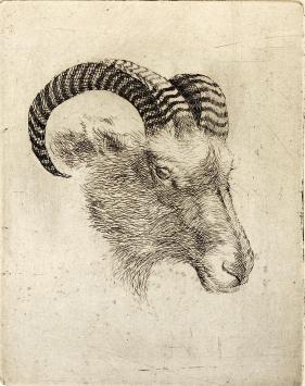 Jeanine Behaeghel, Brugse kunstenares