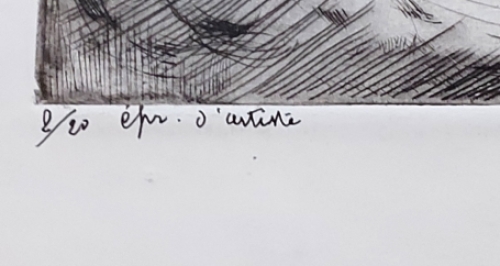 De Belgische kunstenaar Bert De Clerck of Albert De Clerck