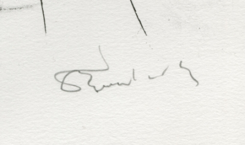 Kunstwerkje van Fred Bervoets kopen