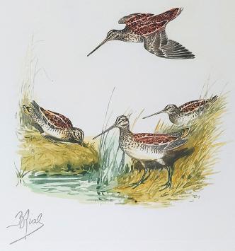 Boris Riabouchinsky met een print