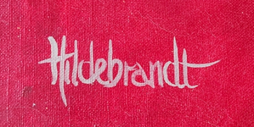 Kunstwerk  op doek van de Antwerpse kunstenaar Bert Hildebrandt