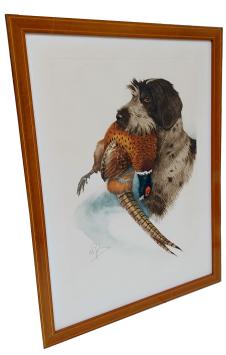 Hondenras Griffon Korthals