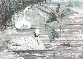 Chris Ferket  met een kunstwerk met witte zwanen