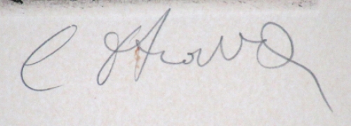 Belgische kunst van Camille d\'Havé kopen