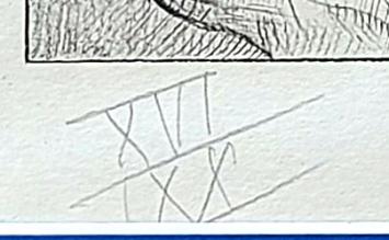 Voor aap staan XVI/XX