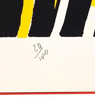 De man met de blauwe ogen 20/100