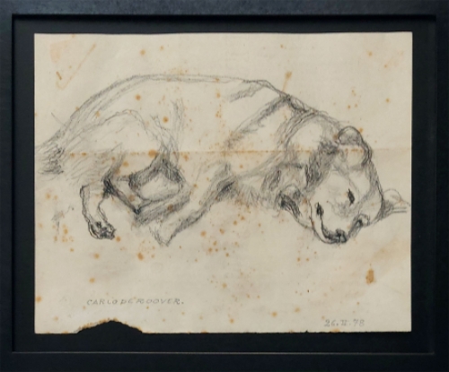 Tekening van Carlo De Roover kopen