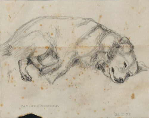 Carlo De Roover, een Belgische tekenaar