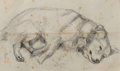 Carl De Roover met een tekening uit 1978