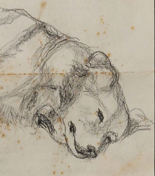 De Belgische kunstschilder Carl De Roover