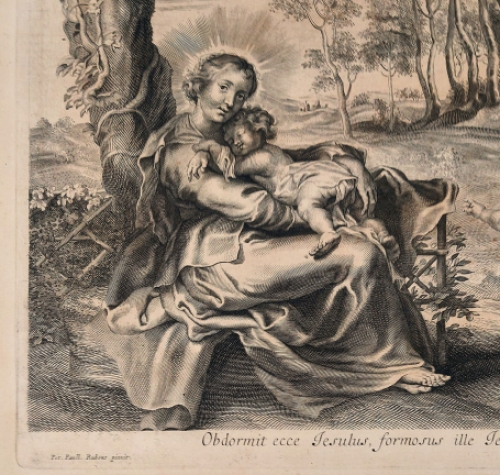 De Vlaamse kunstenaar Cornelis Galle