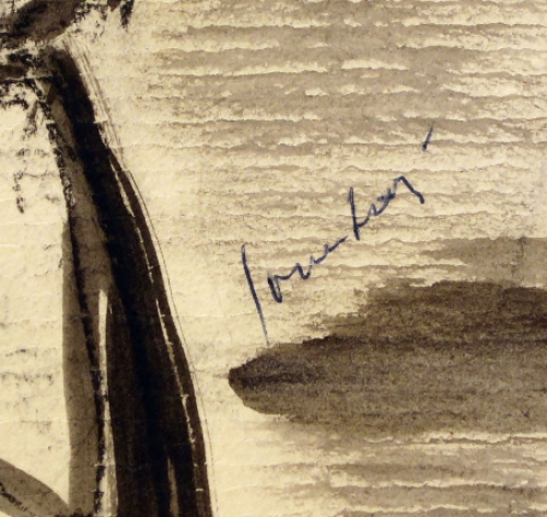 De Belgische kunstenaar Charles Counhaye 