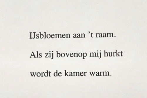 Belgische lithomaker en cineast Hugo Claus