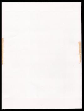 Litho Dame in spiegel 1999 433/450