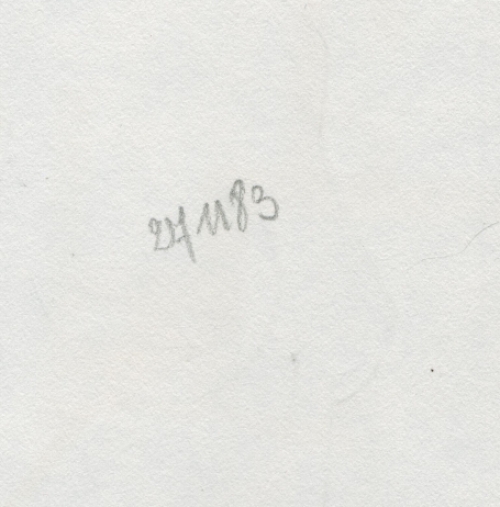 Collage van E. Eechaut kopen