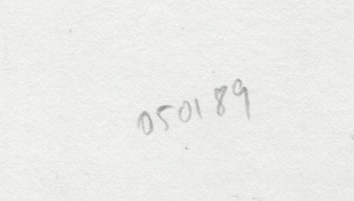 Tekening gemengde techniek, twee naakten 05 01 1989