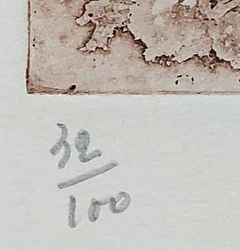 de Karmelietenstraat