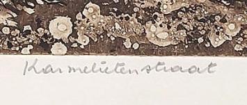 Karmelietenstraat 32/100