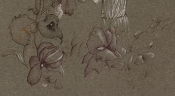 Ets in Mint conditie kopen