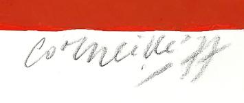 Cornelis Guillaume van Beverloo